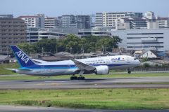 20240814_OsakaAirPort-11